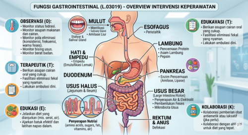 Fungsi Gastrointestinal (L.03019)